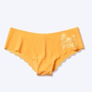 VS PINK Hipster Panty (Small)